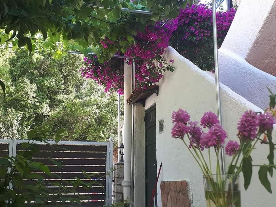 Achilleas Rooms Sívota 外观 照片